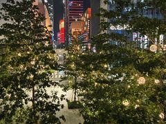 -深圳湾万象城(南山店)