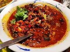 毛血旺-辛香汇(飞洲店)