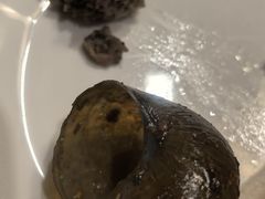 -金龙寨(解西店)