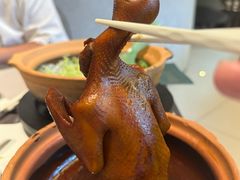 -新兴·金羊座·粤菜点心(乐峰店)
