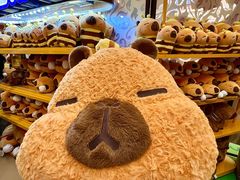 -万泰汇购物中心