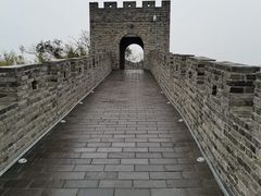 -黄贤森林公园