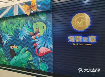 免费 | 市区的迷你动物乐园