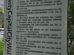 -元大都城垣遗址公园