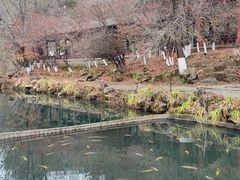 -本溪水洞