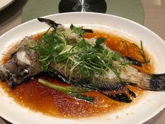 -陶陶居海鲜酒家(新马路店)