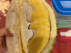 -都念榴莲·城市榴莲