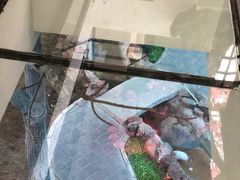 -缘福乡村铁锅炖民宿(八达岭店)