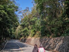 -大雁山风景区