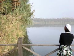 -溱湖国家湿地公园