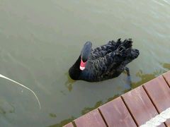-东滩湿地公园观海楼餐厅