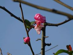 -梁鸿国家湿地公园