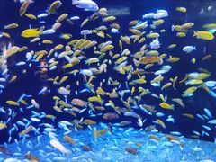 -成都浩海立方海洋公园