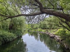 -上海滨江森林公园