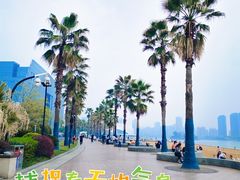 -金沙湖公园
