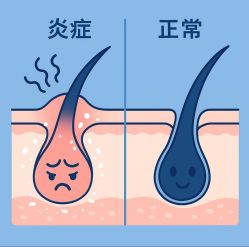 -Bollins波林丝•专研护发中心