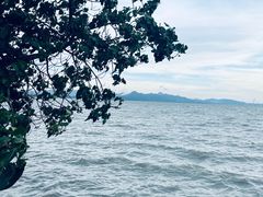 -深圳湾公园(南山区)