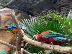 -杭州开元森泊度假乐园