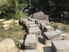 -广州白江湖森林公园