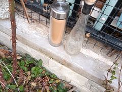 -颐和海鲜饺子