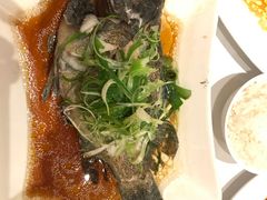 -美心皇宫(沙田大会堂店)