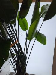 -春田皮肤管理中心品牌旗舰店