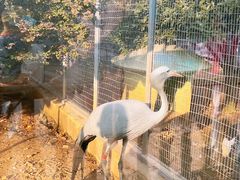 -无锡动物园·太湖欢乐园