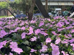 -星巴克(杭州嘉里中心4F店)