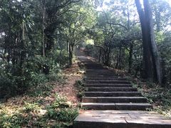 -西湖风景区十里琅珰-五云山