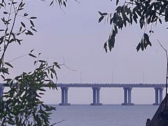 -宝安西湾红树林湿地公园