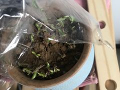 -桂发祥·直营(万德庄大街店)