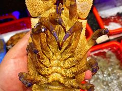 -吴记富苑(朝阳店)