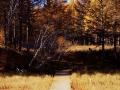 -塞罕坝国家级自然保护区