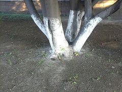 android_upload_pic-辽宁大学(崇山校区)