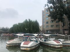 -团结湖公园