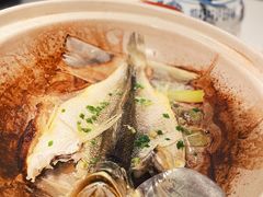 砂锅煲黄花鱼-鱼乐轩·俄罗斯海鲜直供餐厅(群力店)