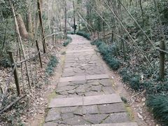 -杭州半山国家森林公园