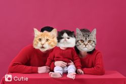 点击看大图 -孖公仔儿童摄影(童服城店)