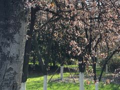 -狼山风景名胜区