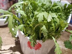 -七欣天香辣蟹火锅(苏州塔园路店)