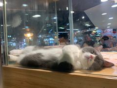 -宠物世家(仲盛世界商城店)