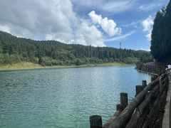 -武陵山森林公园