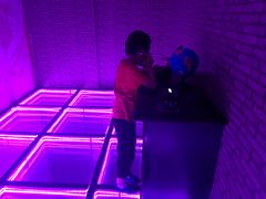 -美的鹭湖探索王国