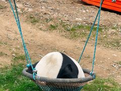 -栾川竹海野生动物园