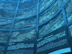 -中国西峡恐龙遗迹园