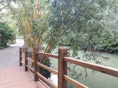 -大湾区中央湿地公园
