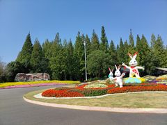 -东平国家森林公园