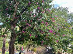 -广东外语外贸大学(白云山校区)