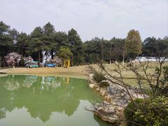 -铁山坪森林公园