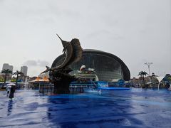 -海合安天津极地海洋公园